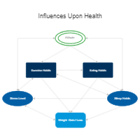 Health Influence Diagram