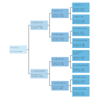 Pedigree Chart Template