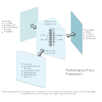 Performance Prism