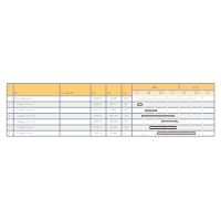 Project Gantt Chart